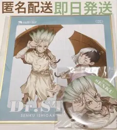 Dr. STONEレイニーデイ dmmスクラッチ 石神千空　ゲン　缶バッジ