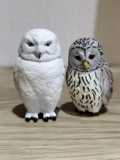 タカラトミー　アニア　フクロウ&シロフクロウ　2体セットのサムネイル