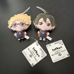 ハイキュー!! ぬいぐるみ 月島蛍 山口忠 2体セット - メルカリ