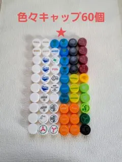 送料込み♪先着1名様♪色々ペットボトルのキャップ60個です♪