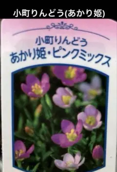 はむちゃん様 リクエスト 4点 まとめ商品