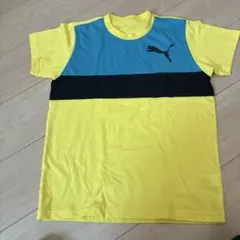Puma 半袖 Tシャツ イエロー/ブルー
