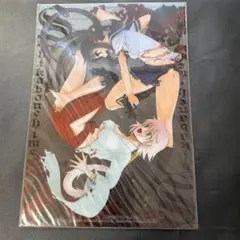 【未使用品】屍姫　赤人義一　少年ガンガン付録　下敷き