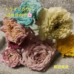 ラナンキュラス ドライフラワー 詰め合わせ リース キャンドル ガーランド