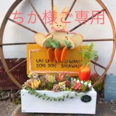 ★多肉植物　寄せ植え〜木製うさぎさんの木箱寄せ〜★
