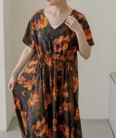 emmi× Snow PeakPeLightPoplinDress☆完売品5回着 - メルカリ