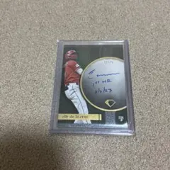 値下げ 激レア ランディ ジョンソン カード 1of1 donruss プレミア 
