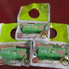お茶犬 ミニメモ＆ケース 3個セット