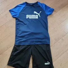 PUMA ジャージ 青/黒