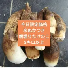 朝堀りたけのこ　野菜　無農薬　筍　たけのこ　タケノコ　訳ありのサムネイル