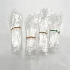 Item thumbnail for item 0f289767-5200-4d3b-8a3c-8b72d7a220f8