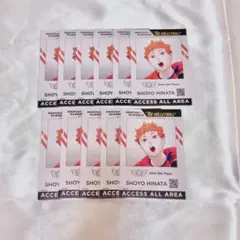 ハイキュー 日向翔陽 Vリーグ バックステージ風パスカード チケットホルダー