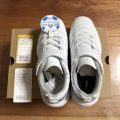 Item thumbnail for item 29b4eeba-9a02-4d0c-9109-2bbbd77df49f