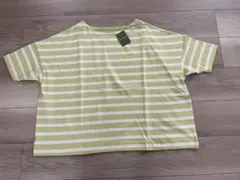 Item thumbnail for item 2e1392eb-c2f7-495a-bfea-8544a10db69b