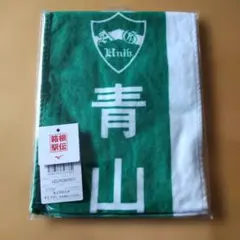 Item thumbnail for item 316e576f-12de-46df-9095-47d6f8a89241