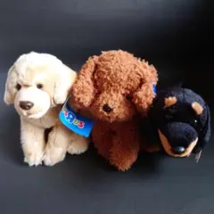 犬ぬいぐるみ　3点セット
