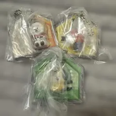 BT21 パッケージチャーム