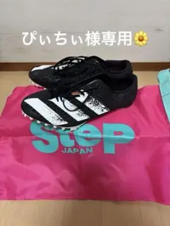 Step Japanシューズケース