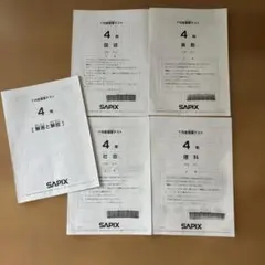 2025年度 6年生 7月 復習テスト サピックス SAPIX - メルカリ