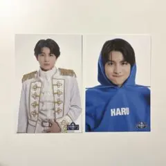 超特急ハルEBiDANmuseum/ミュージアム2024ポストカード2枚セット