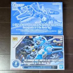 ガンダムベース限定HG ベルフェクティビリティ/HG グフ・フライト