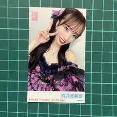 403 2026 4月 向井地美音 AKB48劇場 ガラポン チェキ風写真