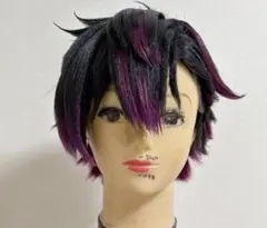 酒寄颯馬 コスプレ ウィッグ Amazon.co.jp: 酒寄颯馬 コスプレWIGウィッグ : ホビー