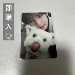 zb1 never say never デジパ オール トレカ レオ ユジン