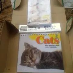 2026猫ミニカレンダー他
