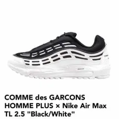 COMME des GARCONS HOMME PLUS × Nike
