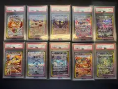 テラスタルフェスexブイズsar PSA10