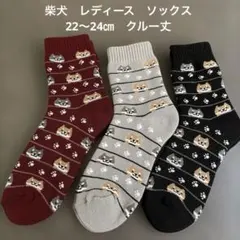 《新品》柴犬　シバ　レディース　ソックス　3足　柴クルー丈　22〜24㎝　厚手