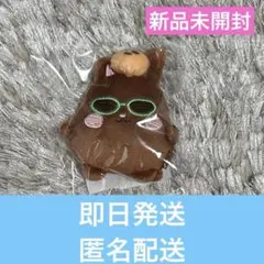 RIIZE ウォンビン トニャンドク summer mini keyring B