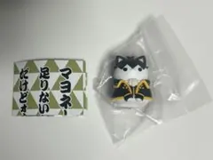 銀魂 MEGACATにゃん魂 土方十四郎