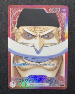 2026年最新】四皇 リーダーパラレルの人気アイテム - メルカリ