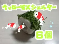 【水草】ウィローモス　シェルター　６個のサムネイル
