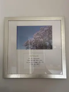 Item thumbnail for item bcf8210a-eabf-4597-83df-40816071a322