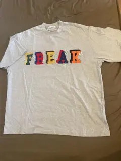 早い者勝ち大幅値下げ【美品】FREAK'S STORE グレー Tシャツ