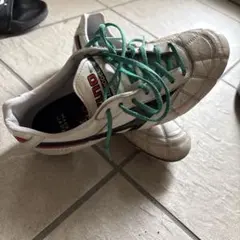 モレリア2Japanクロスステッチ