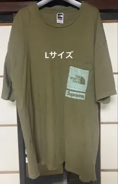 THE NORTH FACExSupreme Pocket Tedm Olive