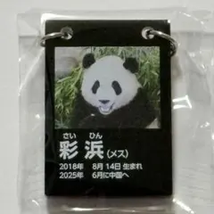 アドベンチャーワールド 電光看板風チャーム 桜浜 桃浜 - メルカリ