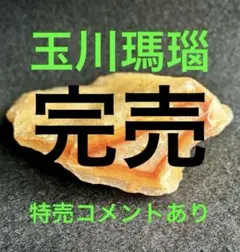 玉川瑪瑙と珪化木 原石 国産鉱物No.806 - メルカリ