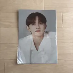 INI BTC 田島将吾　クリアファイル