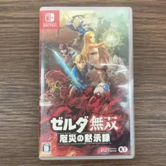 ゼルダ無双 厄災の黙示録