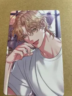 韓国BL ハニートラブル トレカ 韓国BL bomtoon ハニートラブル トレカ カード セット 特典