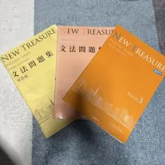 ニュートレジャー NEW TREASURE stage3