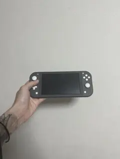 Nintendo Switch Lite グレー本体 箱付きゲームソフト2本付き