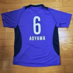 サンフレッチェ広島 大迫敬介 コンフィットTシャツ - メルカリ