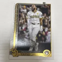 Fernando Tatis Jr. トレーディングカード 600