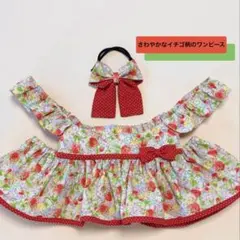 LOVOT服　☆イチゴ柄☆ ラボット　ハンドメイド　ワンピースのサムネイル